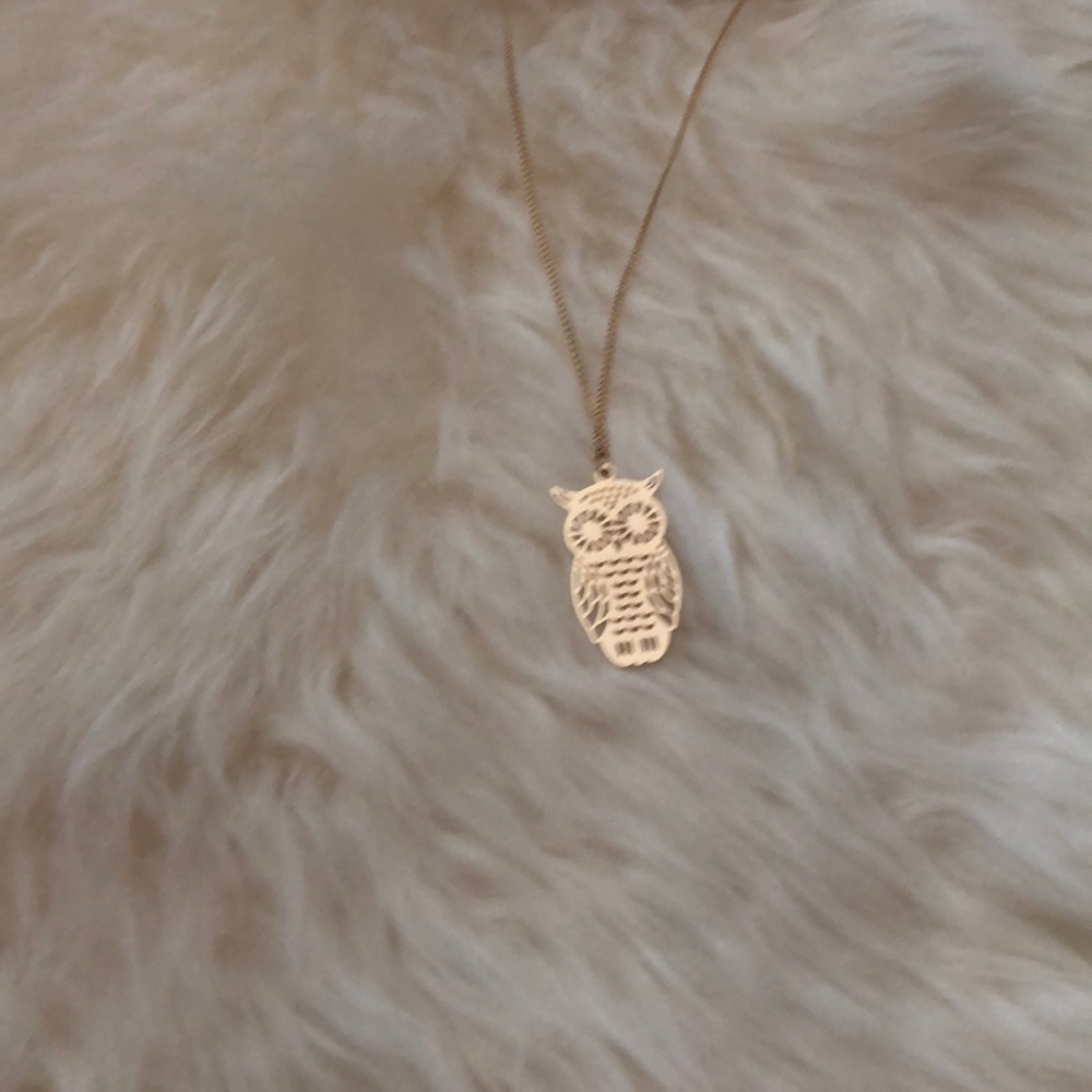 LC Lauren Conrad Gold Tone Owl Pendant Necklace - Picture 3 of 8